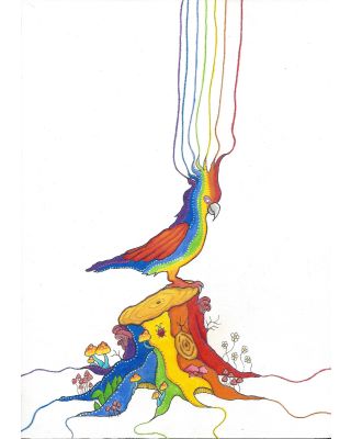 Parrot Trip